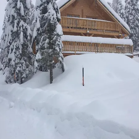 Schwabenhuette Dağ evi