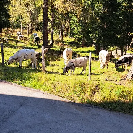 Schwabenhuette Dağ evi