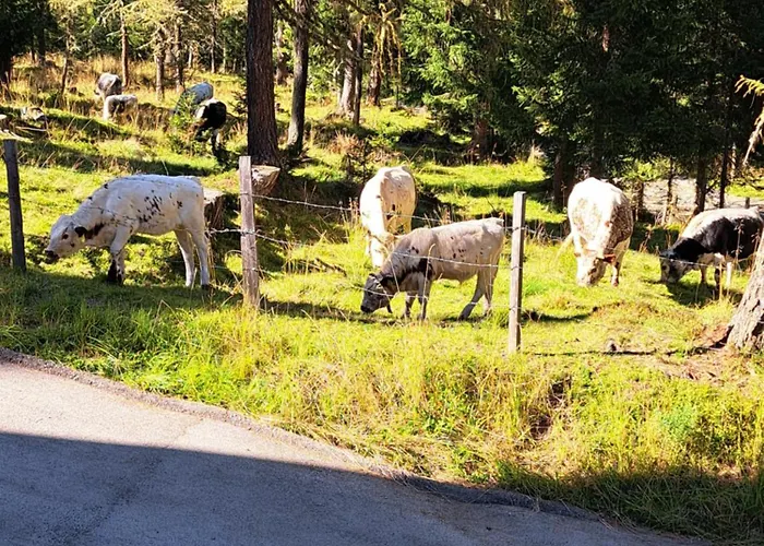 Schwabenhuette בקתה